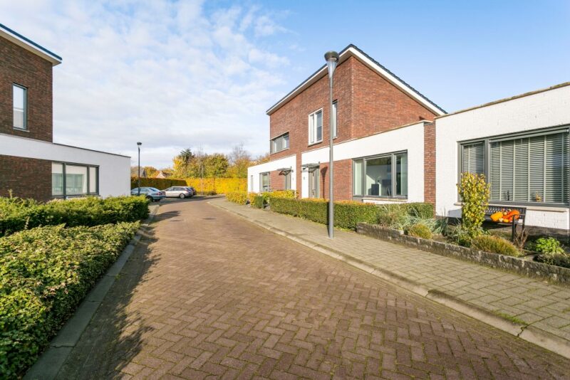 Het zandblauwtje, OIRSCHOT